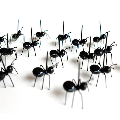 12Pc Kitchen Gadgets Mini Ant