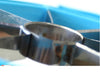 Fruit Divider Tool