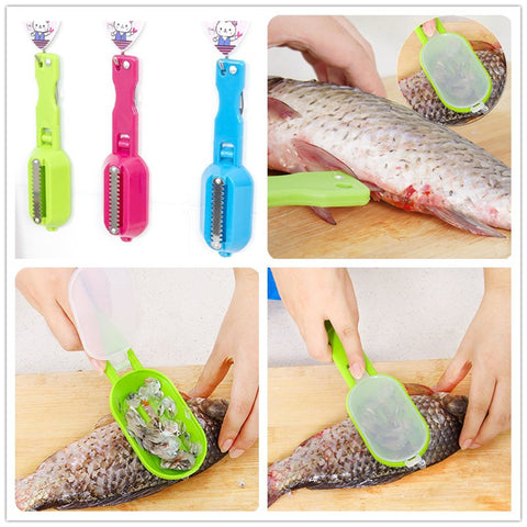 Stainless Steel Scales Skinner Kitchen