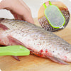 Stainless Steel Scales Skinner Kitchen