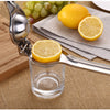 Lemon Juicer Kitchen Food Processor