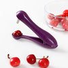 Stainless Steel Cherry Pitter Fruit